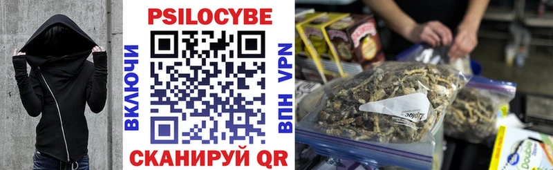 Псилоцибиновые грибы мицелий  Купить где  Любим 